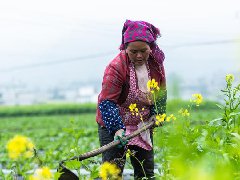 述评：中国脱贫攻坚共建美好世界